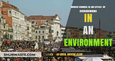 Overcrowding's Impact: Environmental Changes and Their Consequences Explored