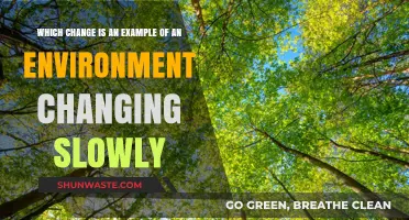 Gradual Shifts: Examples of Slow Environmental Changes Over Time