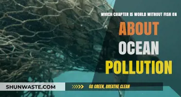 The Ocean Pollution Crisis: A World Without Fish