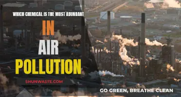 Air Pollution: Uncovering the Most Abundant Chemical