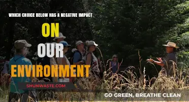 Harmful Choices: Which Actions Are Damaging Our Environment the Most?