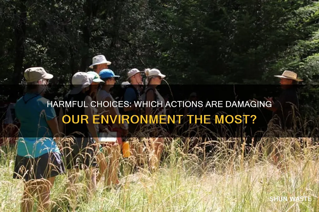 which choice below has a negative impact on our environment