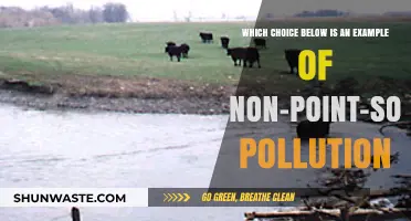 Understanding Non-Point-Source Pollution: A Complex Environmental Issue