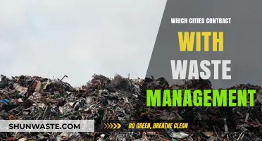 Exploring Urban Waste Management Contracts: A City-by-City Analysis