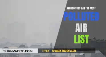 Air Pollution: Cities with the Dirtiest Air