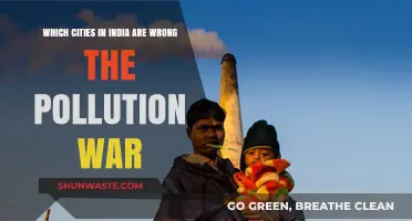 Battling Pollution: Indian Cities Winning the War