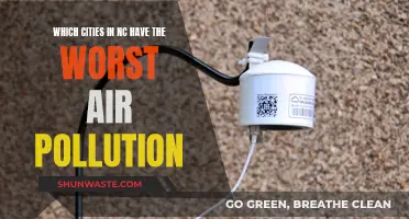 Air Pollution in North Carolina: Cities to Watch Out For