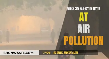 Air Pollution: Which City Has Improved the Most?