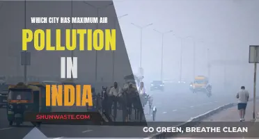 Air Pollution in India: Which City Suffers Most?