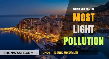 Light Pollution Capitals: Cities of Blinding Lights
