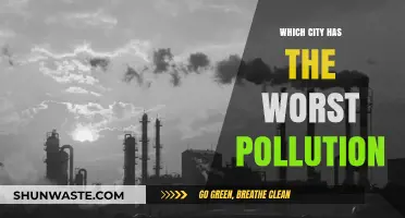 The Most Polluted Cities: A Global Crisis