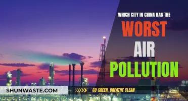 China's City Pollution: A Hazardous Air Affair