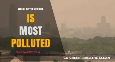Georgia's Pollution Problem: Which City is the Worst Offender?