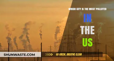 American Cities: Pollution's Worst Offenders