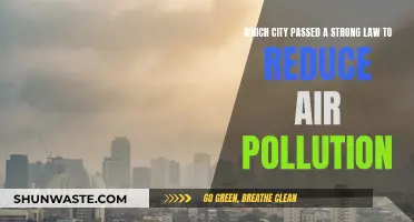 Strong Law, Clean Air: A City's Fight Against Pollution