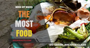 Global Food Waste Capitals: Which City Tops the List?