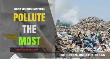 Fashion's Dark Side: Clothing's Pollution Secrets