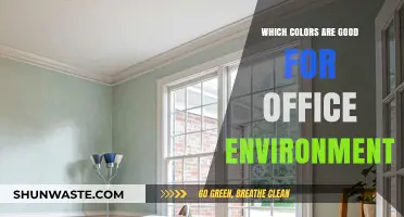 Boost Productivity: Best Colors for a Calm, Focused Office Environment