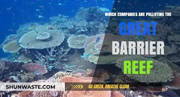Great Barrier Reef: Polluting Companies Exposed