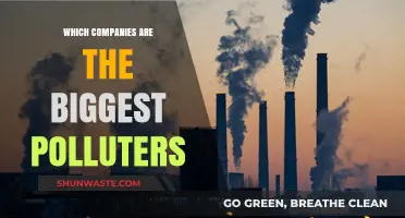 The World's Worst Polluters: Companies Hurting Our Planet