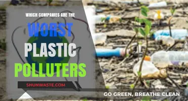 Plastic Polluters: The Worst Corporate Offenders