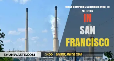 San Francisco's Worst Polluters: Company Accountability