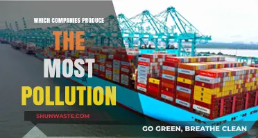 The World's Biggest Polluters Revealed