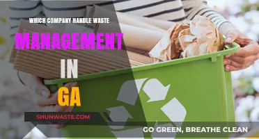 Exploring Georgia's Waste Management: Key Players and Services