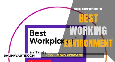 Top Companies with the Best Working Environments: A Comprehensive Review