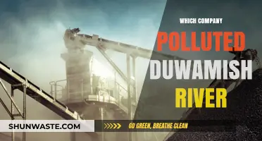 Who Polluted the Duwamish River? A Case Study