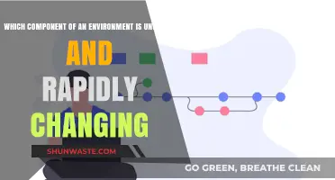Unstable and Rapidly Changing: The Dynamic Component of Our Environment