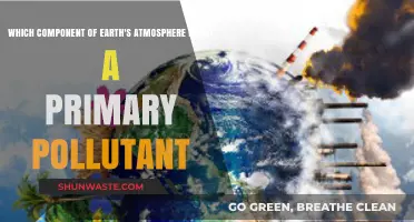 Atmospheric Insights: Primary Pollutants and Beyond