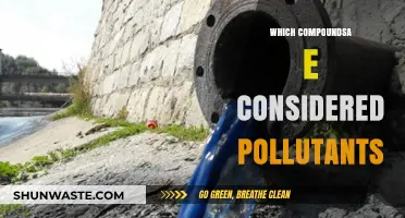 Understanding Pollutants: Compounds to Watch Out For