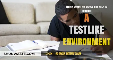 Creating a Test-Like Environment: Conditions to Avoid for Success