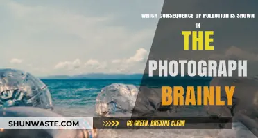 Pollution's Impact: Photograph Reveals Devastating Reality