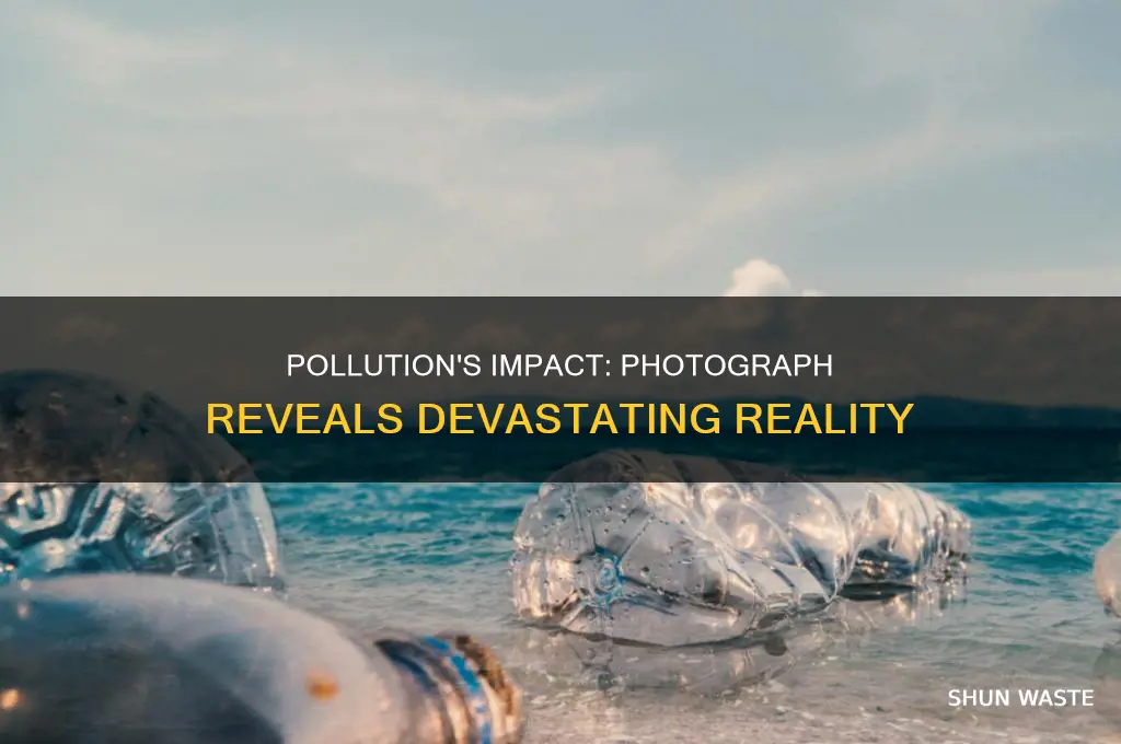 which consequence of pollution is shown in the photograph brainly