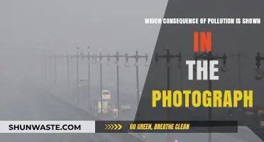 The Devastating Impact of Pollution on Our Planet