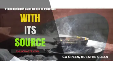 Identify Indoor Pollutants: Know Their Sources