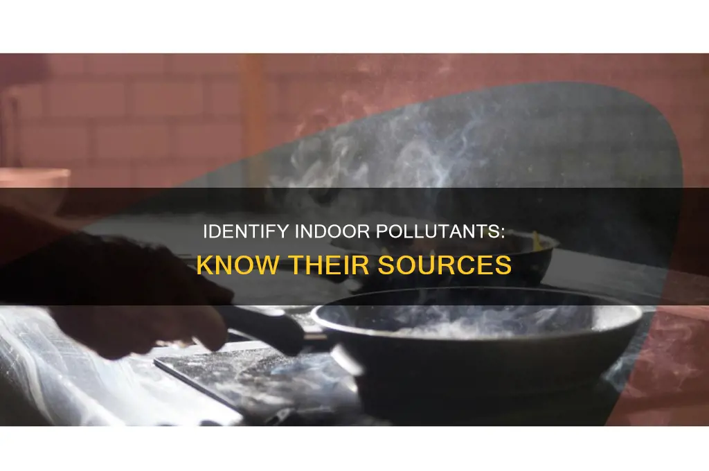 which correctly pairs an indoor pollutant with its source