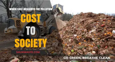 Pollution's True Cost: Measuring Social Impact