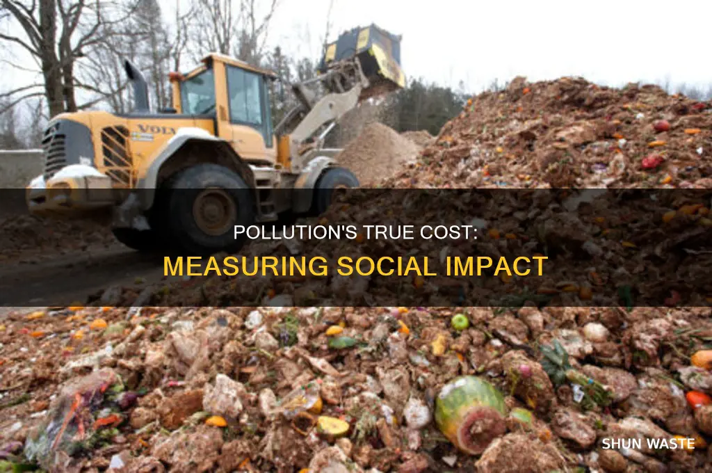 which cost measures the pollution cost to society