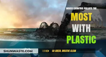 Plastic Pollution: The Worst Offenders and Their Impact