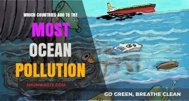 Ocean Pollution: The Worst Offenders and Their Impact