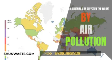 Air Pollution's Worst Victims: A Global Health Crisis