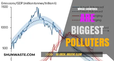 Who Pollutes the Most? Global Emissions Breakdown