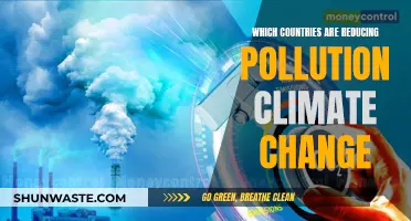 Pollution Reduction Efforts: Global Climate Change Champions