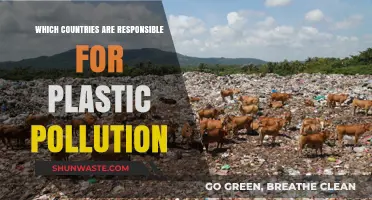 Who Pollutes Our Oceans With Plastic?