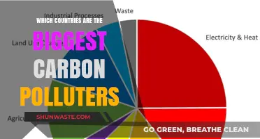 Carbon Polluters: The Top Global Emitters