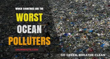 Ocean Polluters: The Worst Offenders Across the Globe