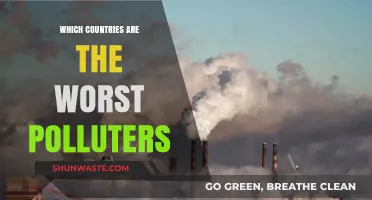 The World's Worst Polluters: Who's Responsible?
